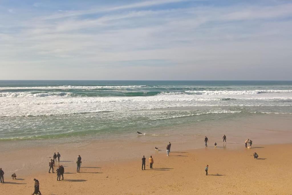לאקאנו Appart' Dans Les Pins, Ocean, Lac, Piscine מראה חיצוני תמונה