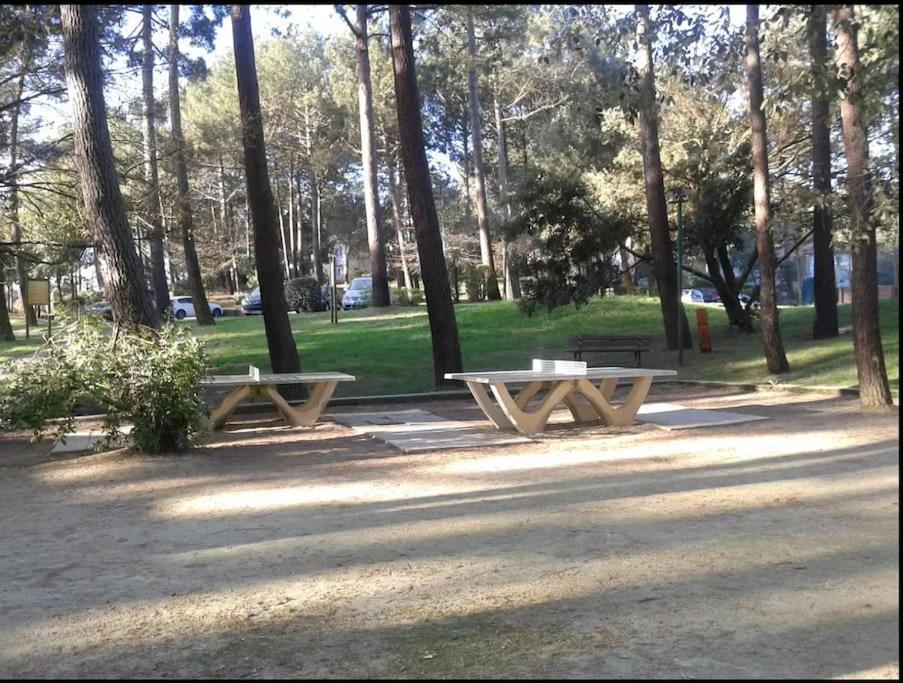לאקאנו Appart' Dans Les Pins, Ocean, Lac, Piscine מראה חיצוני תמונה